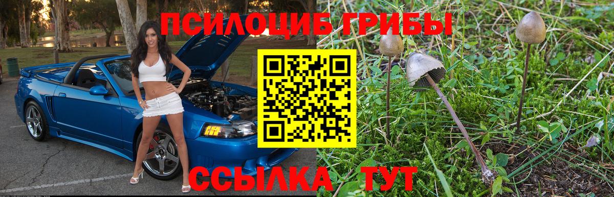 Псилоцибиновые грибы MAGIC MUSHROOMS Россошь